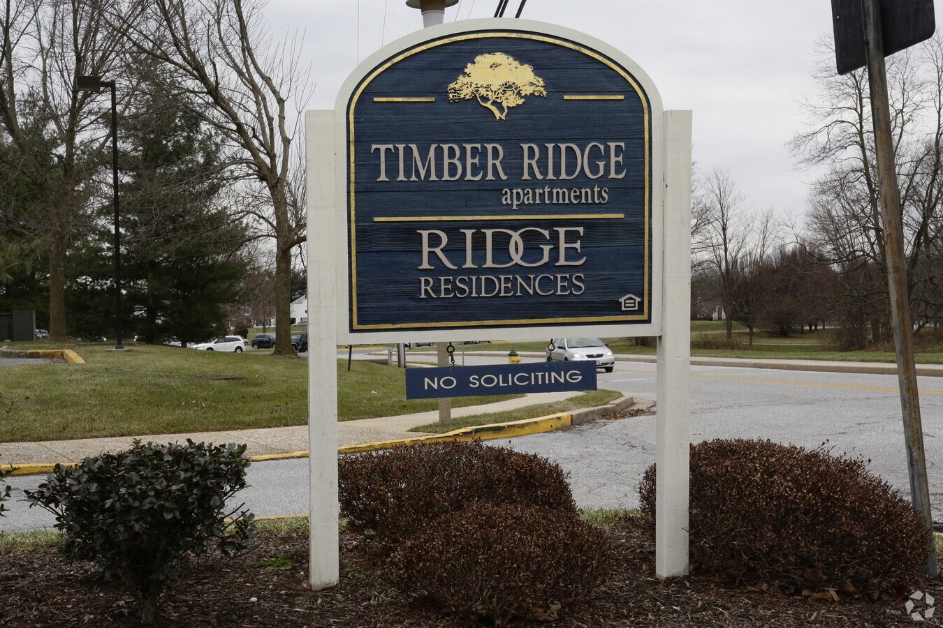 Photo - Timber Ridge