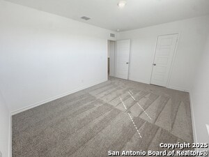 Photo - 3004 Trumpet Vine