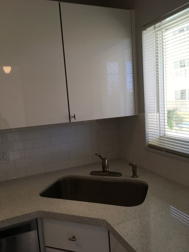 Large sink - 1818 Rodman St Unit 2F