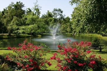 Pond