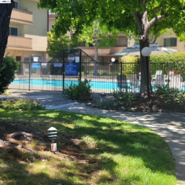 Photo - 1321 Webster St Unit D113