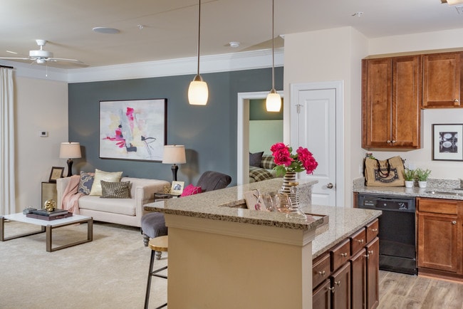 Brand New Luxury Apartments-19 Floor Plans