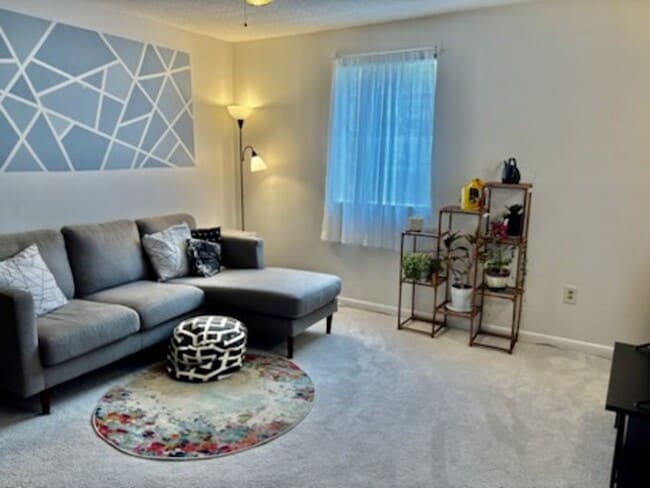 Photo - Quiet Study Haven: 1BR + Den just Steps from UNC