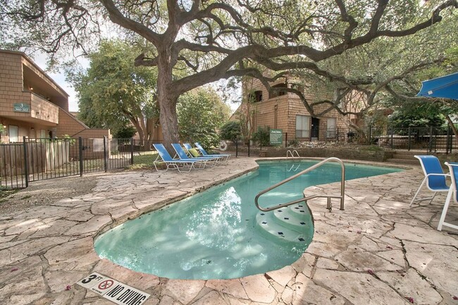 Pool - Alamo Heights Treehouse