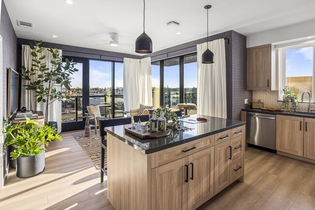 Photo - Alexan Camellia