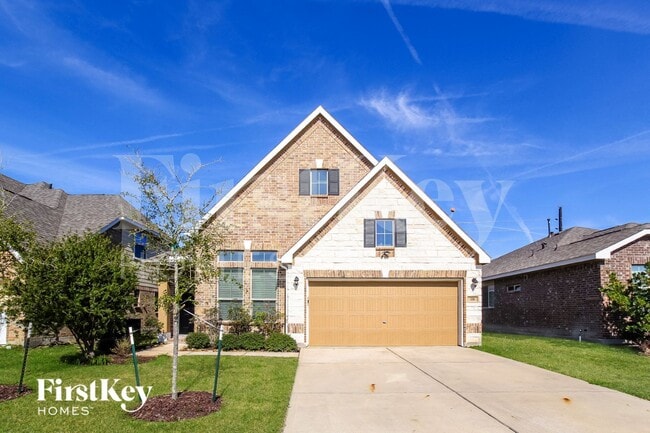 Photo - 331 American Black Bear