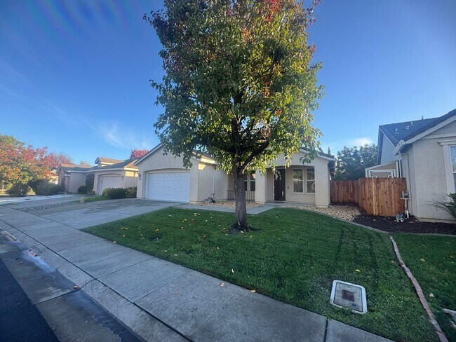 Photo - Spacious 4 Bedroom Home in Elk Grove