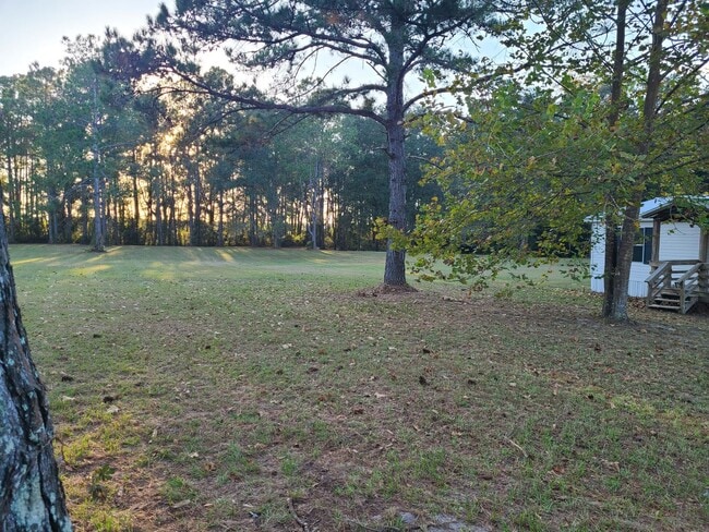 Photo - 3/2 on 6 Acres in Archer!
