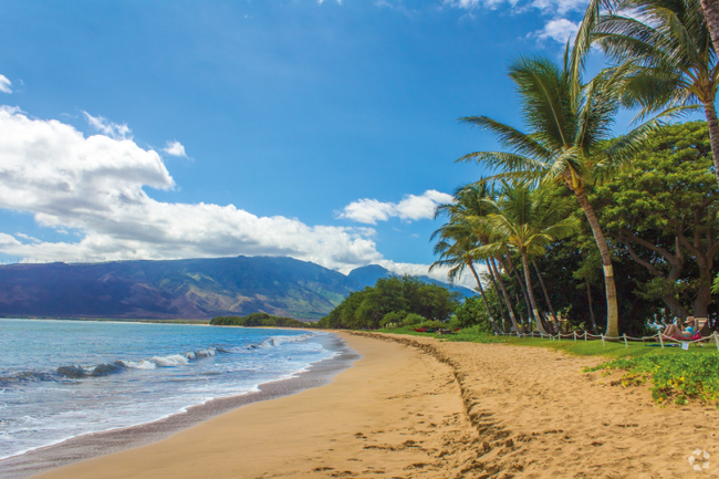 Building Photo - 2757 S Kihei Rd Rental