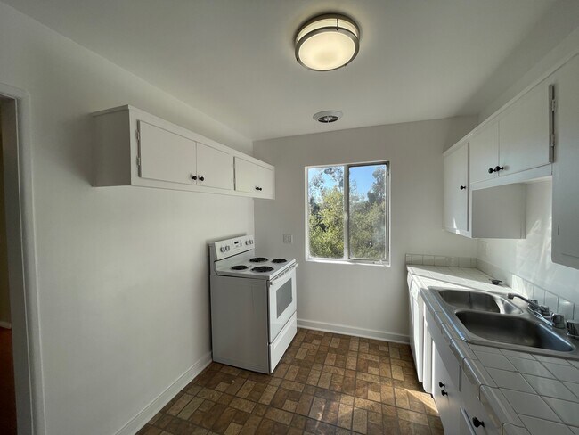 Photo - Tropical Gardens