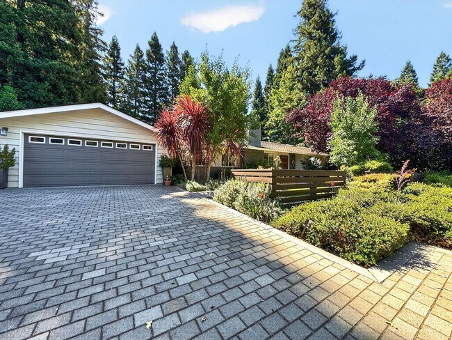 Photo - Gorgeous 4 Bedroom PLUS Spacious Bonus Room with Pool in Desired Alamo Neighborhood Available Now!