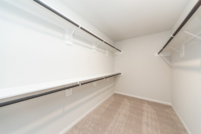 Photo - 3026 Orchid Ranch Dr