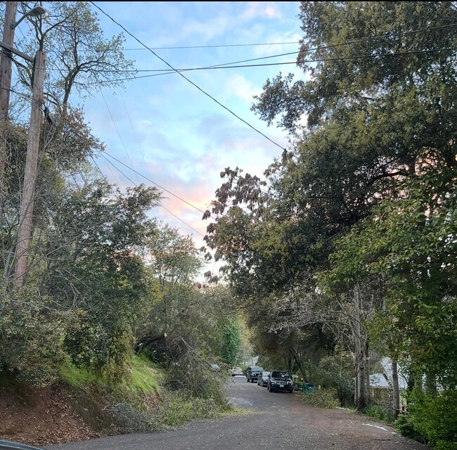 Photo - 186 W Sunset St Unit B