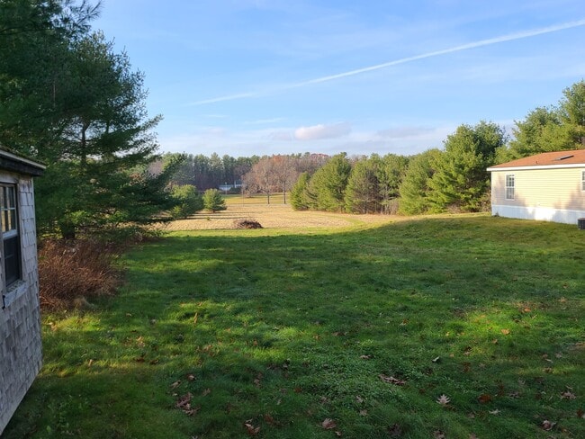 back yard - 25 Blueberry Ln