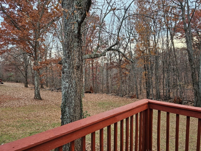 Photo - 1057 Hibiscus Rd