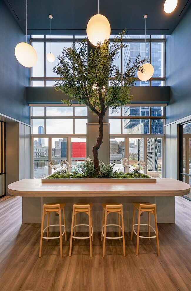 Photo - The Biltmore