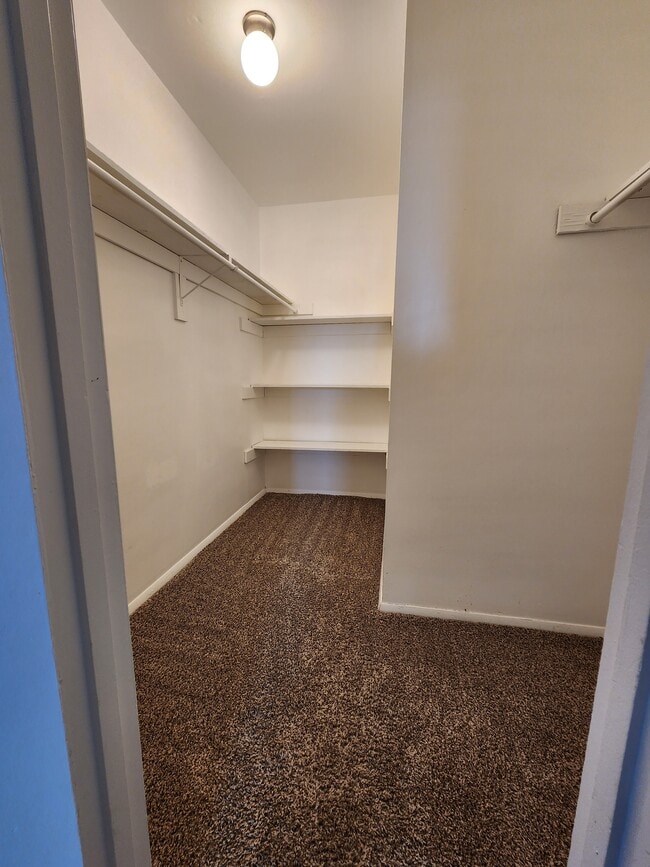 Photo - Dalton Pointe Walston