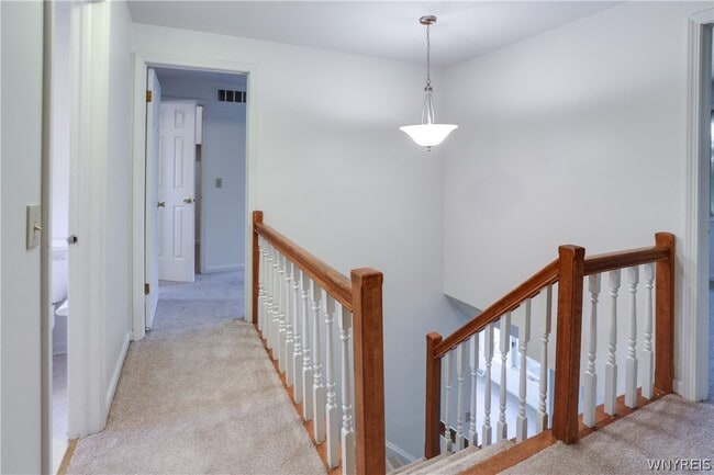 294 Little Robin Rd