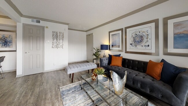 Photo - Sunset Shadows