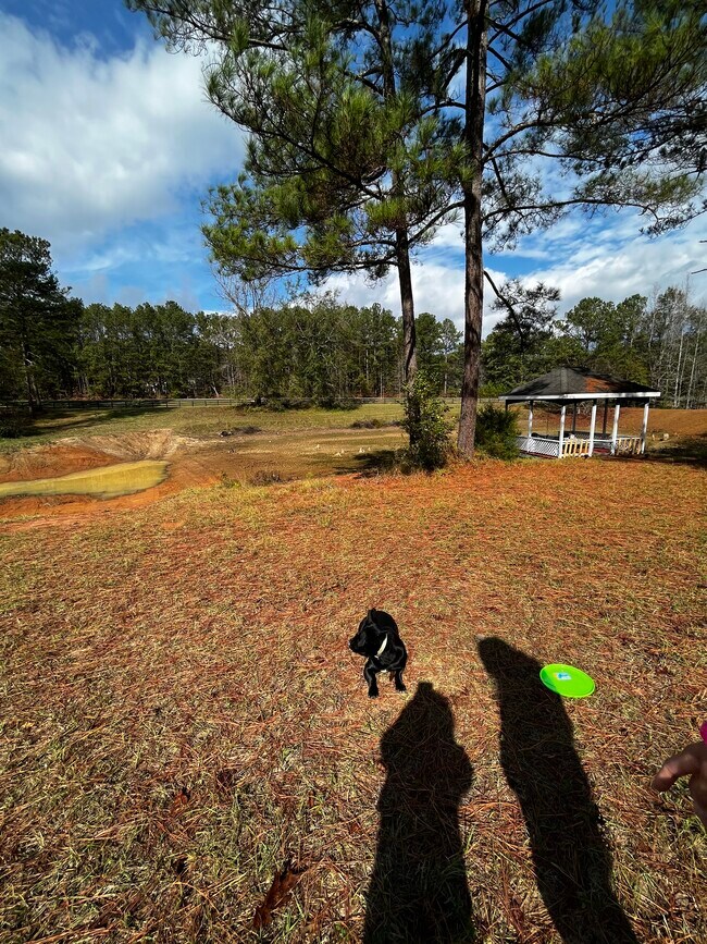 Photo - 9888 Whitehouse Pkwy