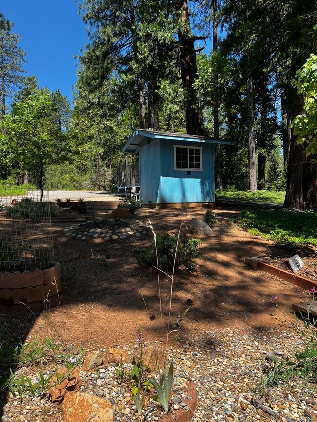 Photo - Pioneer Home