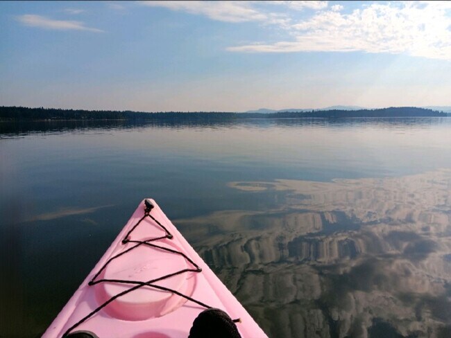 Photo - Beautiful home on the Totten Inlet