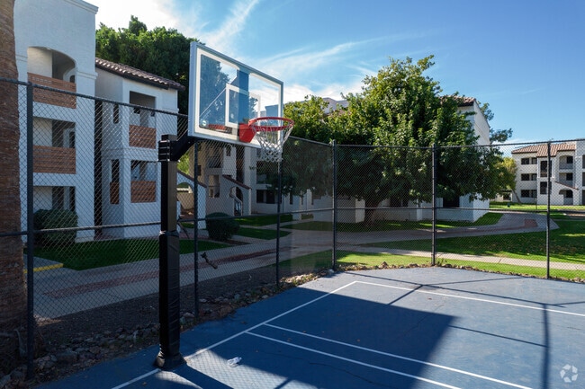 Basketball Court