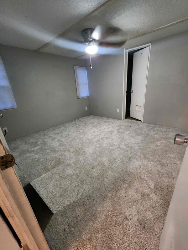 Photo - 219 Dairy Rd