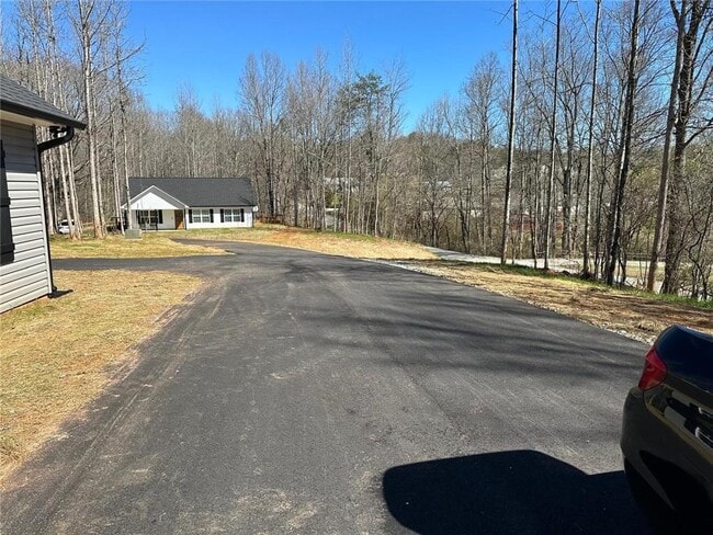 295 Pony Lake Rd