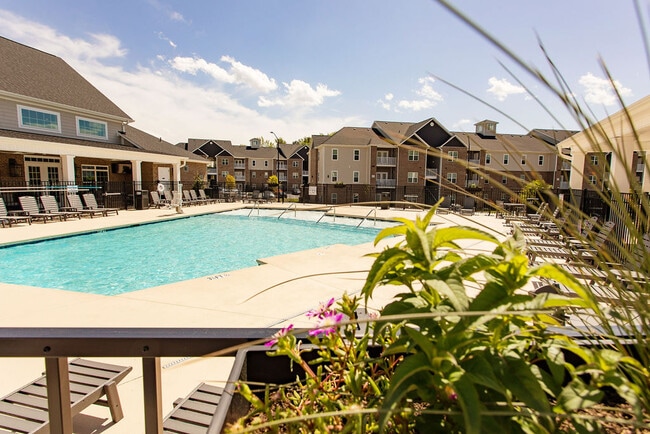 Pool - The Grand at Union Cross Apartments
