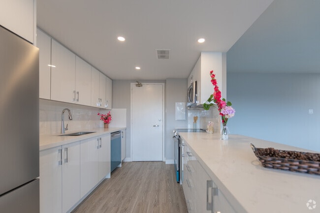 1BR, 1BA - 800SF - Kitchen