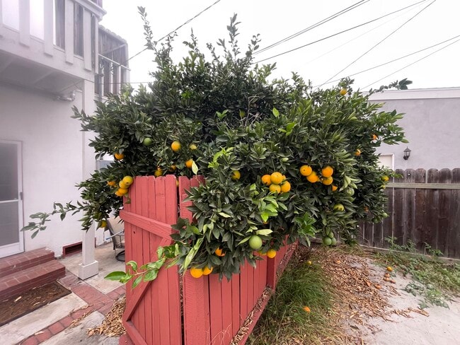 Photo - 1131 E Whiting Ave Unit 1131 e whiting