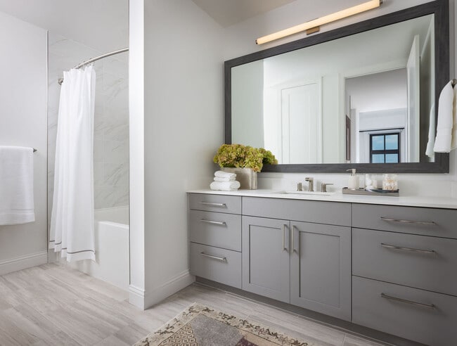 Photo - Novel Turtle Creek