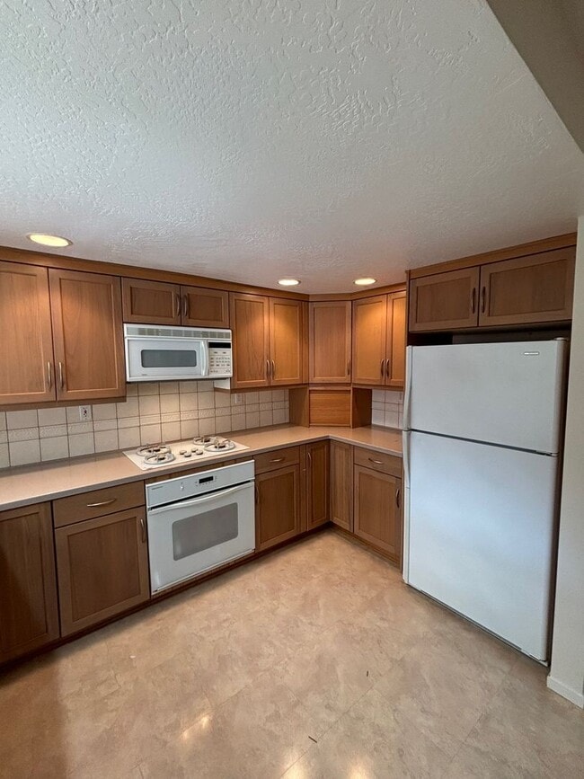 Photo - Single Level 3 Bedroom 2 Bathroom Bennett Valley Home with large private backyard