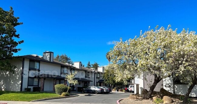 Building Photo - 516 Pacific Ave Unit #3