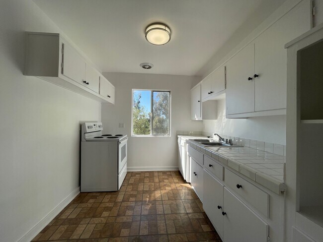 Photo - Tropical Gardens