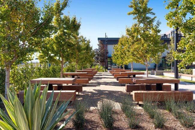 Picnic Tables