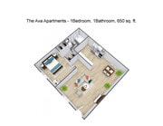 1 bedroom floorplan