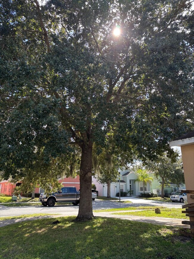 Photo - Pool Home for Rent