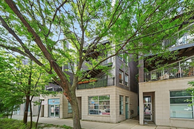 Photo - 2629 W Chicago Ave Unit 3