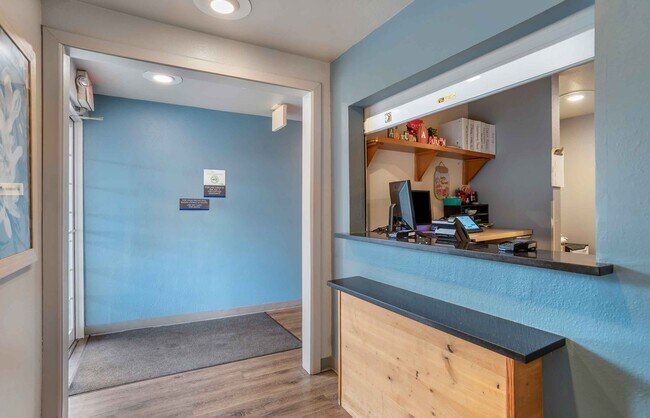 Furnished Studio-Jackson - South