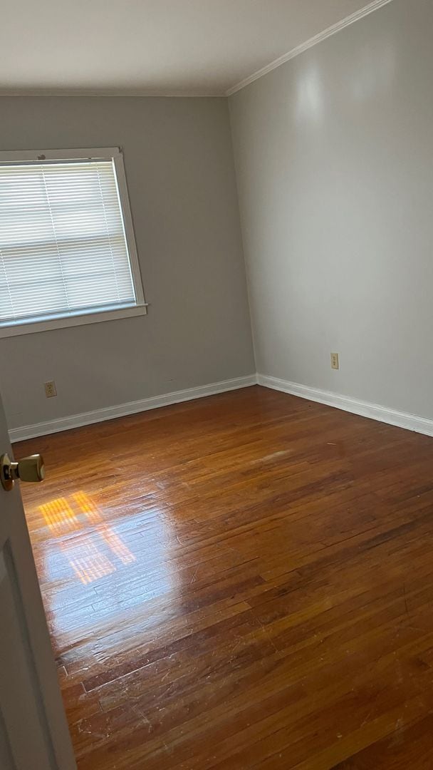 Photo - 1701 Queens Rd