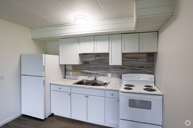1BR, 1BA - 500SF - Kitchen