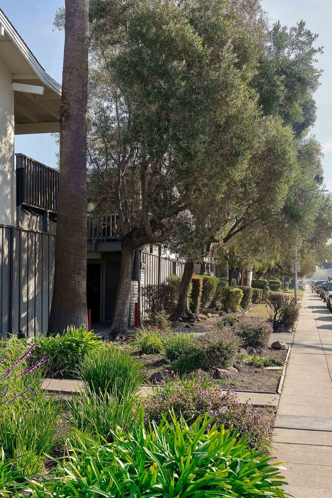 Bay Terrace