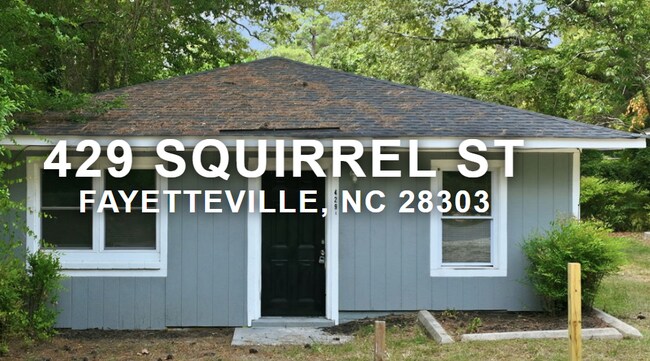 421 Squirrel St