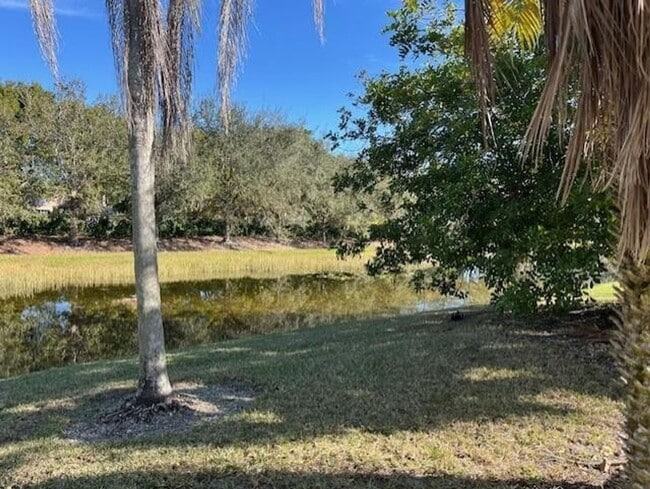 Photo - 517 Spinnaker