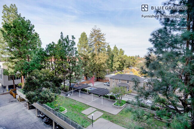 501 Forest Ave Unit SI FL5-ID1255