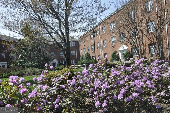 Photo - 1612 W Abingdon Dr Unit 101