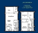 Jacaranda