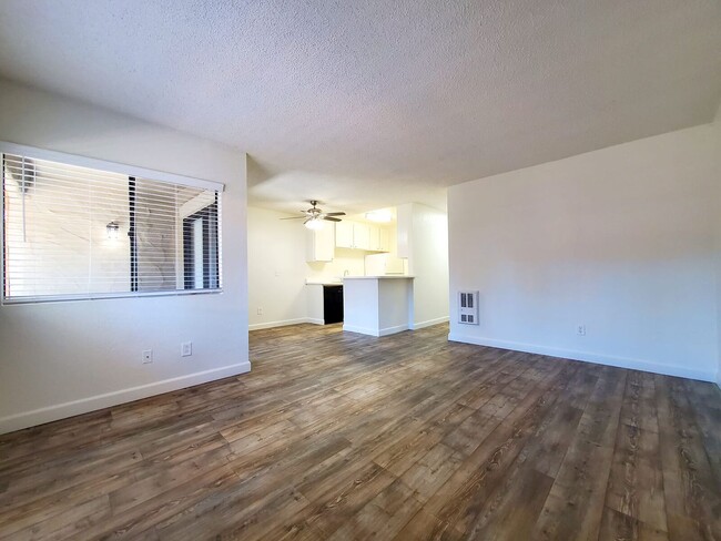 Photo - Indian Springs